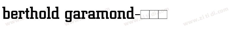 berthold garamond字体转换